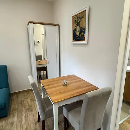 公寓 Stefy Lux 贝尔格莱德